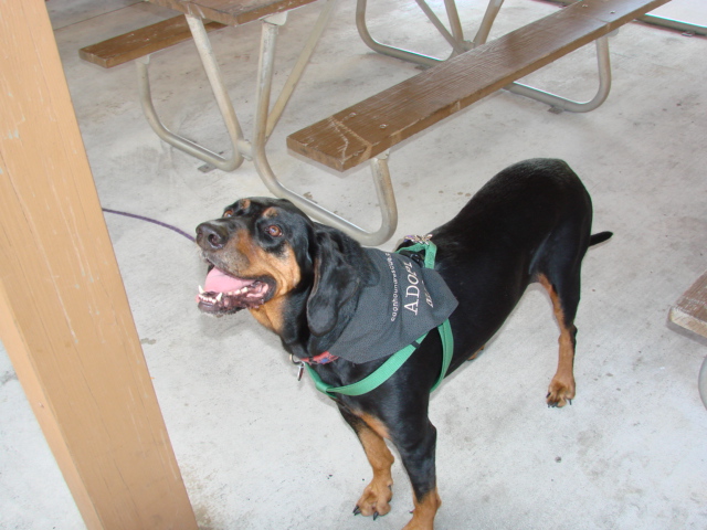 JTRG Picnic 041011 (3).JPG